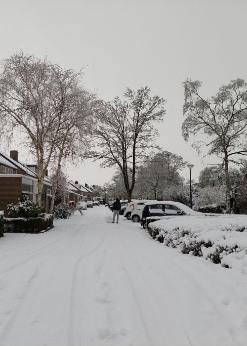 Sneeuw